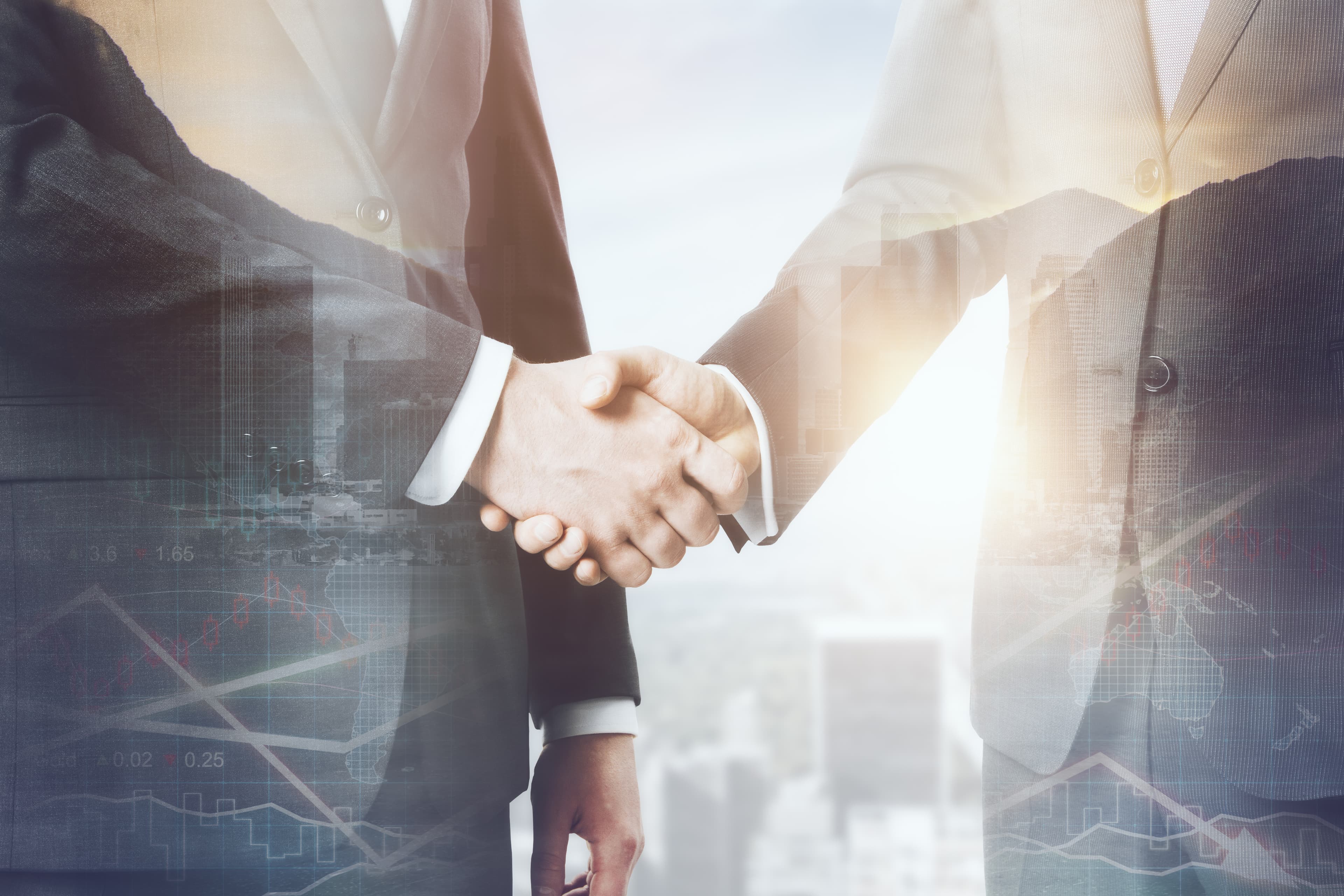 Strategic Capital & Partnerships